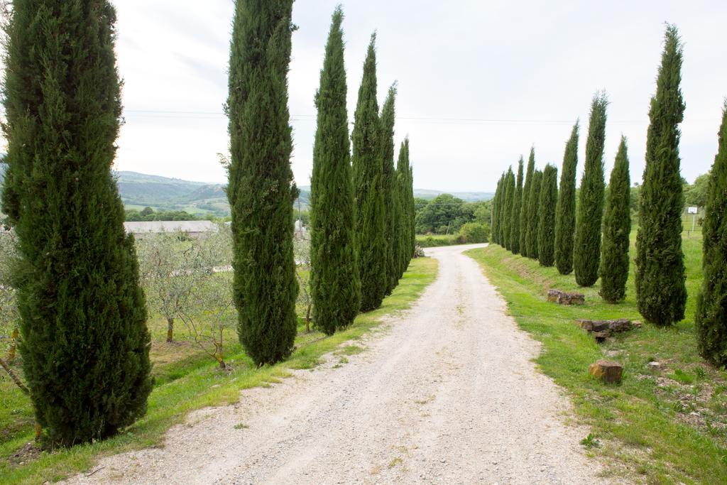 Podere Il Tigliolo Castiglione dʼOrcia Exterior foto