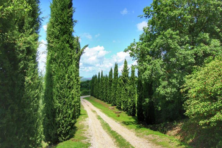 Podere Il Tigliolo Castiglione dʼOrcia Exterior foto